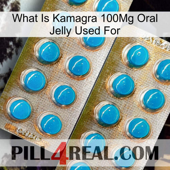 What Is Kamagra 100Mg Oral Jelly Used For new08.jpg